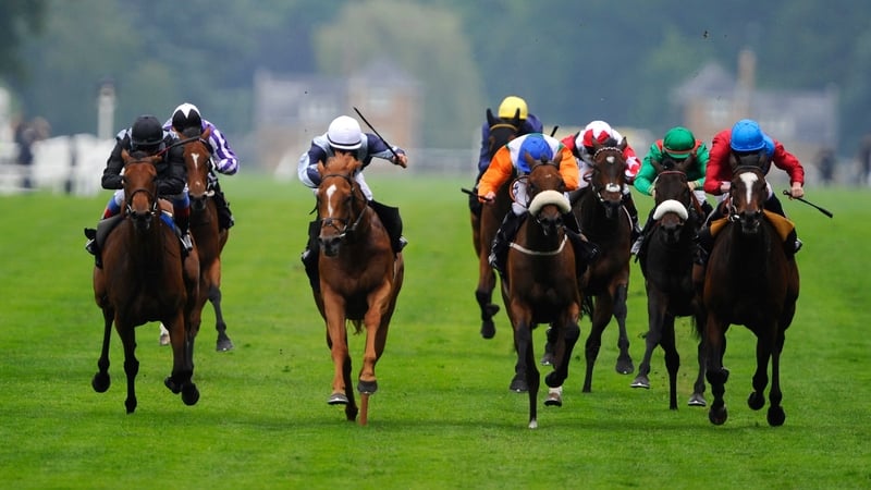 Duntle has finished first past the post in six of her eight career starts