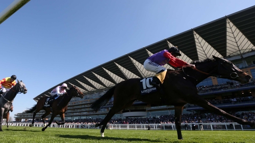 Queen Elizabeth II's Estimate was a high-profile winner of last season's Gold Cup at Royal Ascot