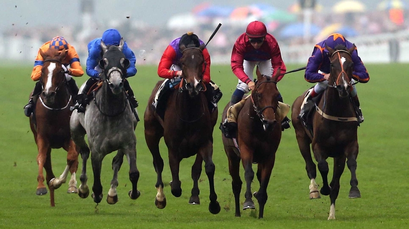 Estimate (c) took the main prize at Ascot