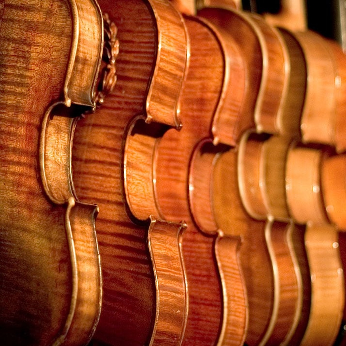 John Mícheál Ó Domhnaill.