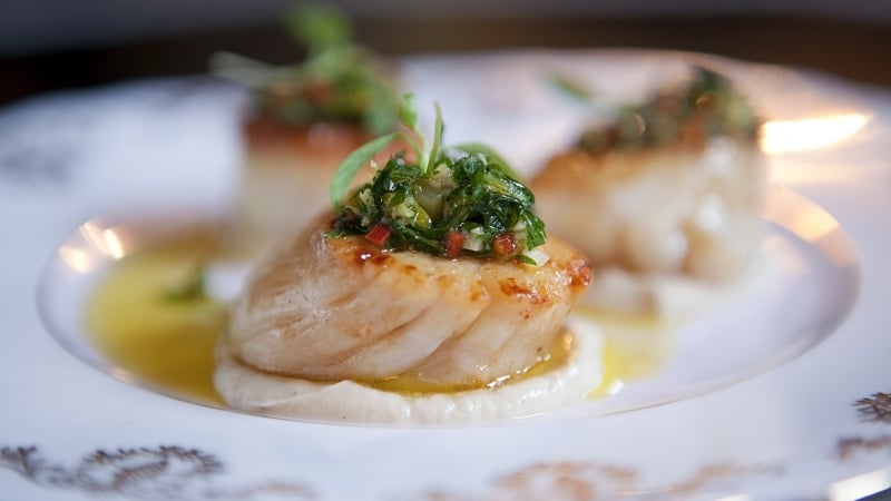 Seared Scallops with Charred Cauliflower Puree, Chilli Parsley and Garlic Oil