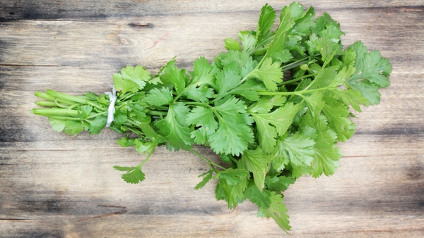 Coriander Chutney