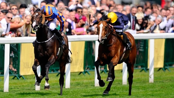 Hillstar's (right) team are hoping for soft ground at Ascot