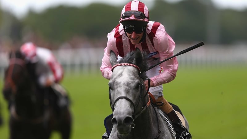 Lethal Force delivers another big race win
