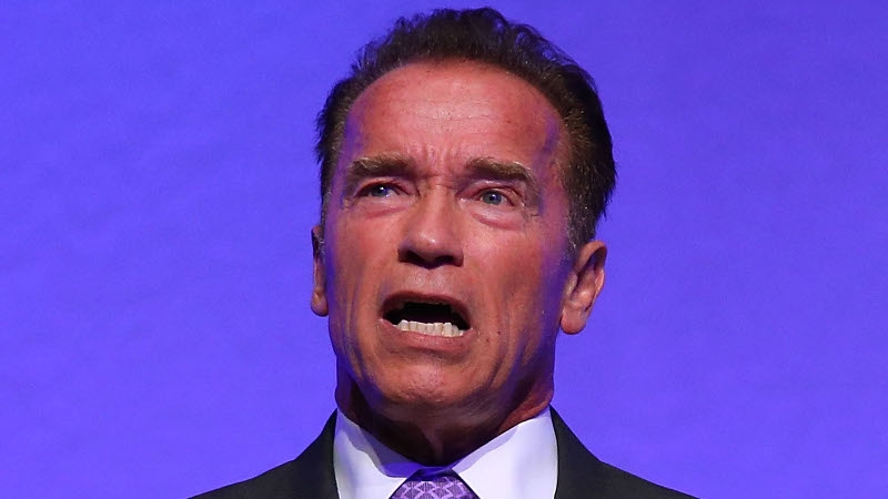 Arnold Schwarzenegger has landed the part of a doting father in new zombie movie Maggie