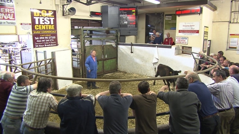 All mart sales are online only, with no buyers allowed attend or view animals in the sales ring