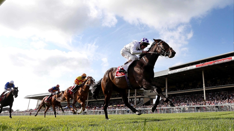 Galileo Rock (yellow and red silks), who chased home Trading Leather in the Irish Derby on his most recent start, should relish the step up in trip on Town Moor