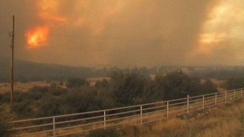 Firefighters were part of a specially trained 'hot shot' team