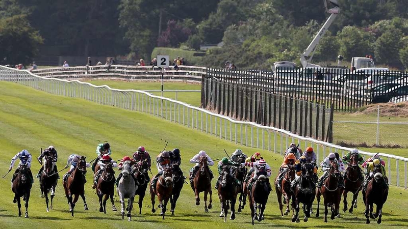 Hugo Palmer is hoping for favourable conditions at the Curragh