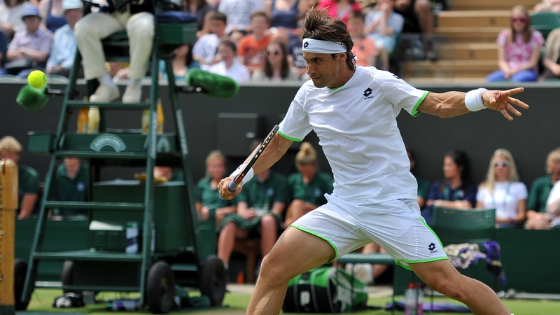 David Ferrer has made the last eight at Wimbledon
