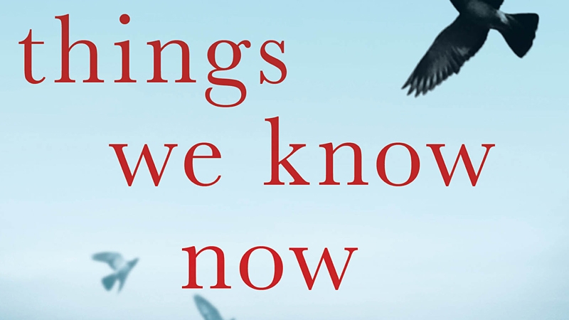 The Things We Know Now - Described as an "imaginative exploration of the most painful grief that anyone can endure"
