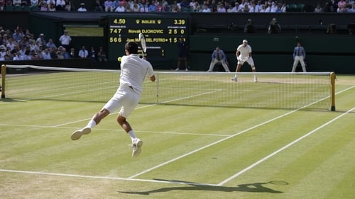 A lithe Novak Djokovic unleashes a viscous backhand against Juan Martin del Potro