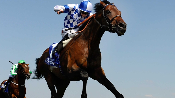Al Kazeem needs rain according to trainer Roger Charlton