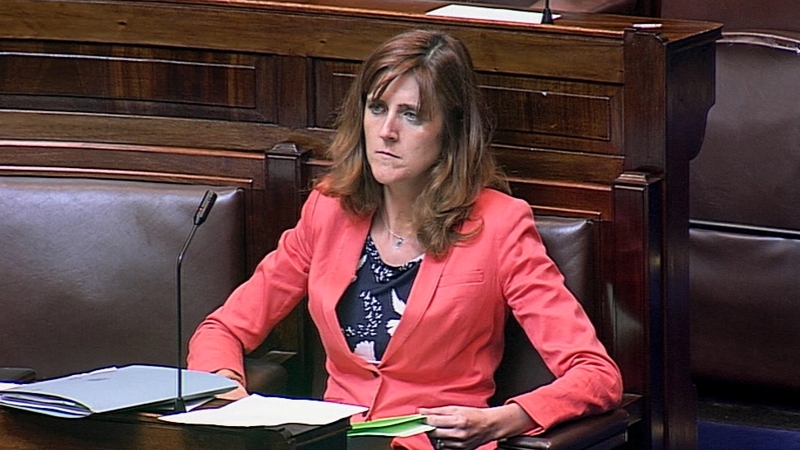 The Oireachtas discovered that the cost of Michelle Mulherin's calls was more than the almost €2,000