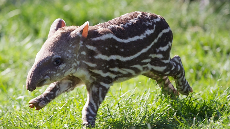 Welcome to the family, lad