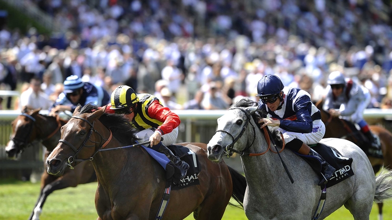 Elusive Kate landed her third Group One prize in the Falmouth Stakes