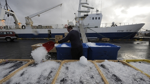 Iceland has significantly increased its mackerel catch from the northeast Atlantic in the past seven years
