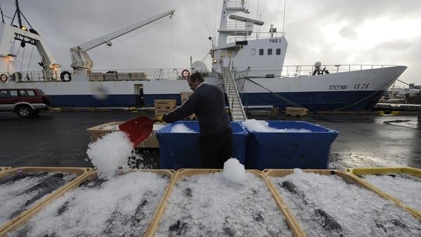 Iceland has significantly increased its mackerel catch from the northeast Atlantic in the past seven years