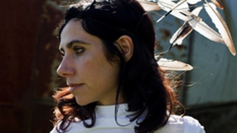 PJ Harvey has been awarded an honorary degree