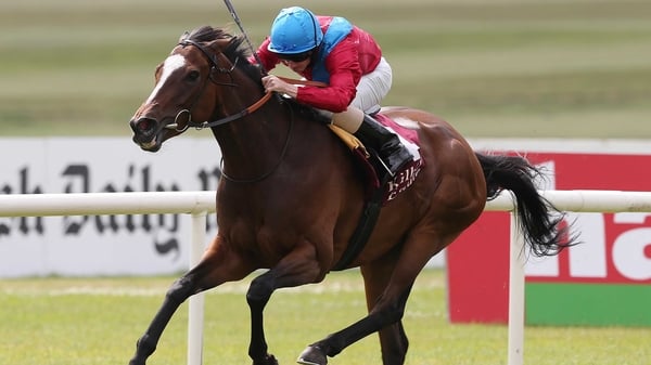 Ryan Moore and Dank impress at racing HQ