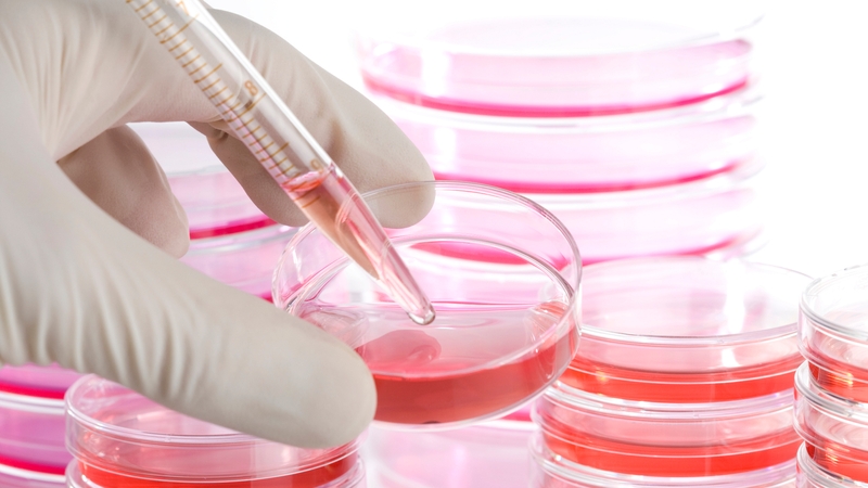 It is not yet clear how the technique would work in humans