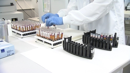 Stem cells are human cells that can develop into many types of tissue
