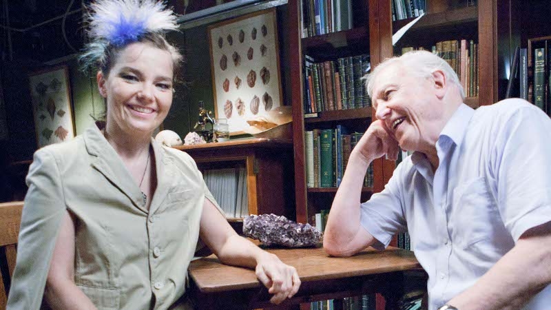 Björk with David Attenborough - both to be celebrated at MoMa