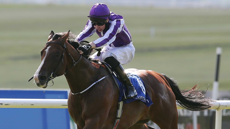 Minstrel Stakes winner Darwin has been entered in the Irish Champion Stakes