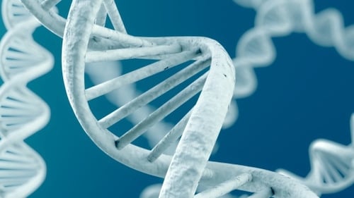 Alan Shatter plans to introduce legislation later this year for the DNA database