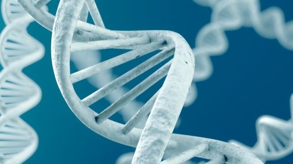 Alan Shatter plans to introduce legislation later this year for the DNA database