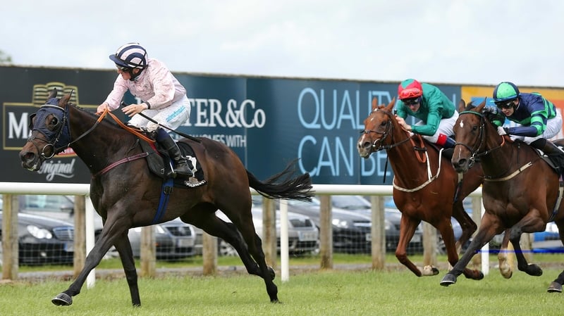 Sir Ector won the Ulster Derby at Down Royal in June