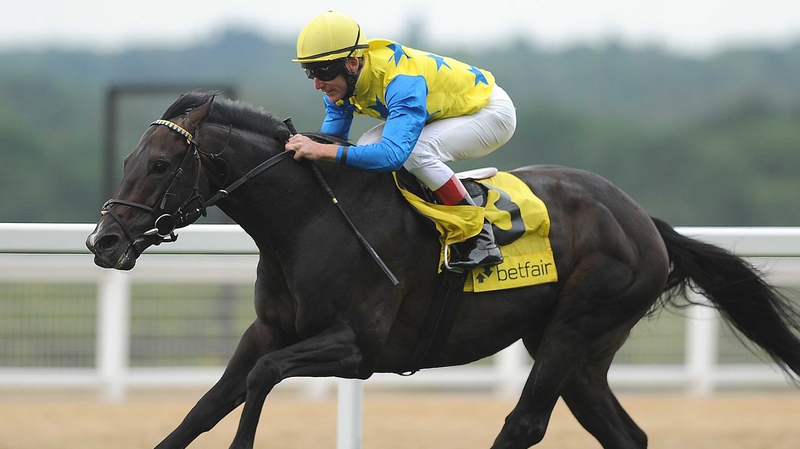 Novellist will be entered for the Japan Cup