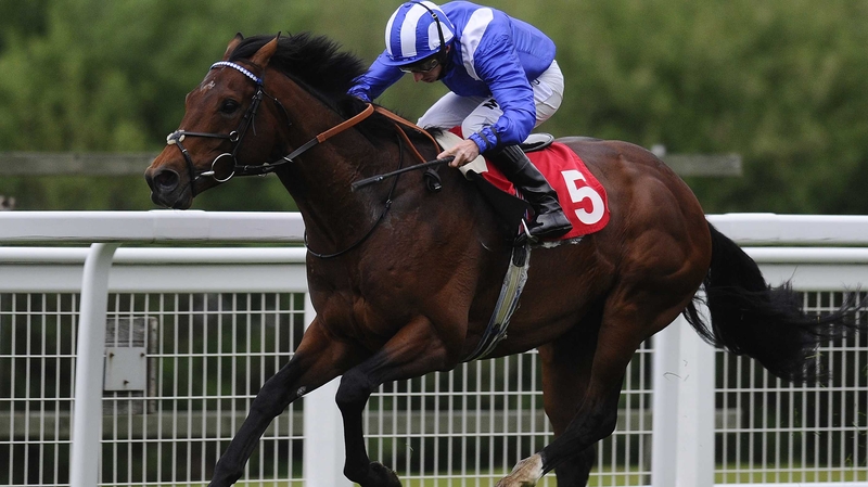 Mukhadram could return to the Knavesmire next month for the Juddmonte International