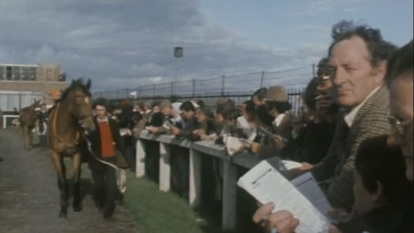 Punters survey the field at the Ballybrit paddock in 1977