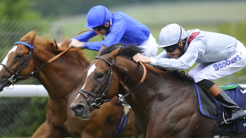 Toronado (near side) came with a withering late run to edge out his old foe Dawn Approach