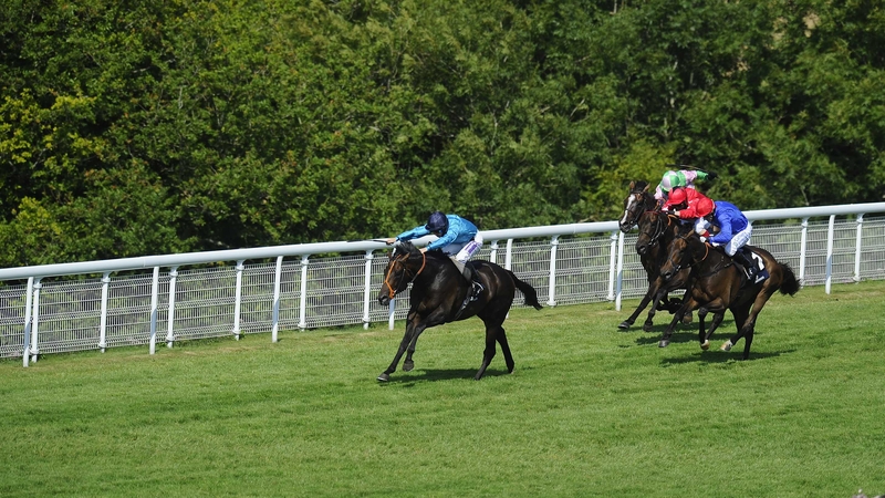 Richard Kingscote partnered Brown Panther to victory