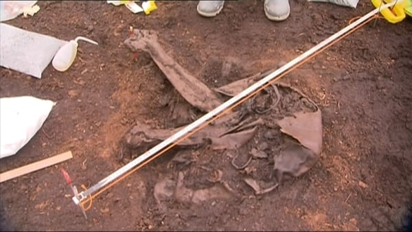 The body was found by a Bord na Móna worker two years ago