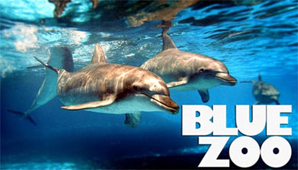 Blue Zoo will air on RTÉ Two in 2014