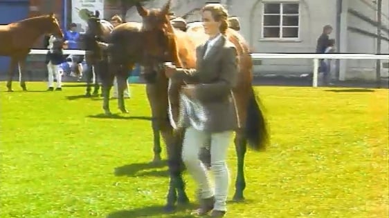 Dublin Horse Show, 1988