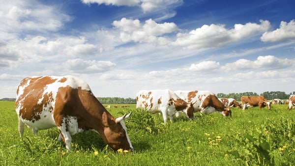 Significant weather features over the last farming year