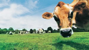 Joe Folan, Feirmeoir. show image