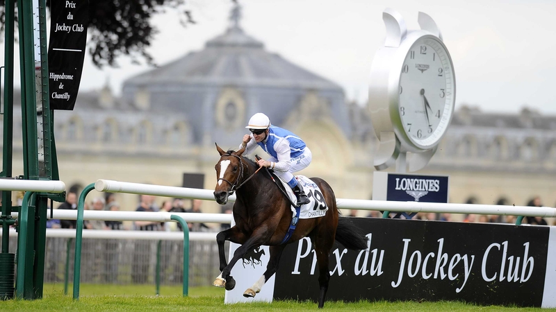 Intello scored at the top level for the first time in the Prix du Jockey Club at Chantilly in June