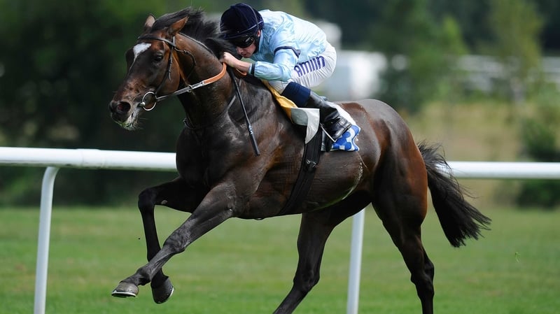 Telescope will be in the number one gate for the Breeders' Cup Turf