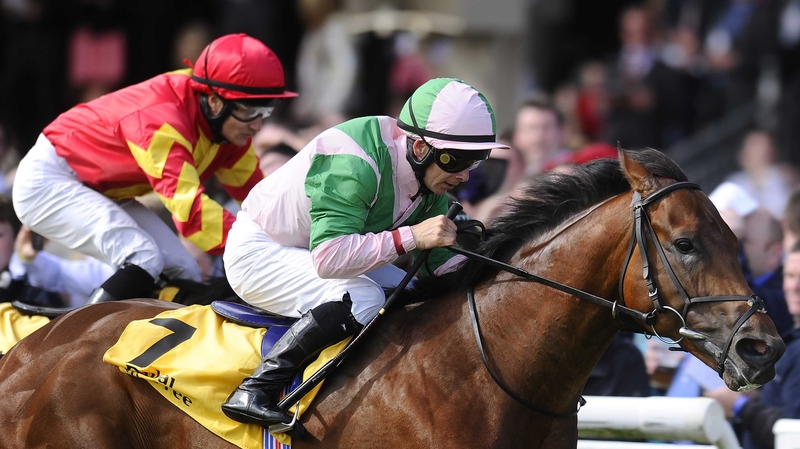 Sadirman faded into fourth place at Naas