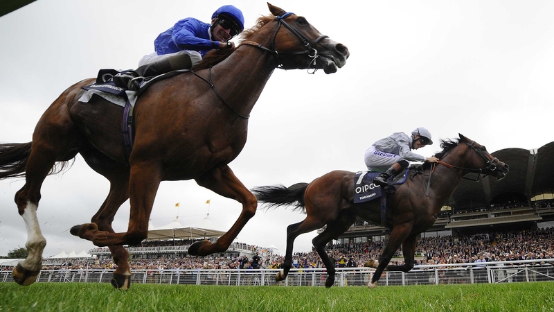 Dawn Approach (nearest) could yet face Toronado again (far side) in the QEII at Ascot on 19 October