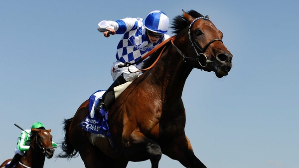 Al Kazeem is expected for a return to action before year's end
