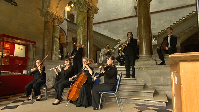 Free events took place in towns and cities around Ireland