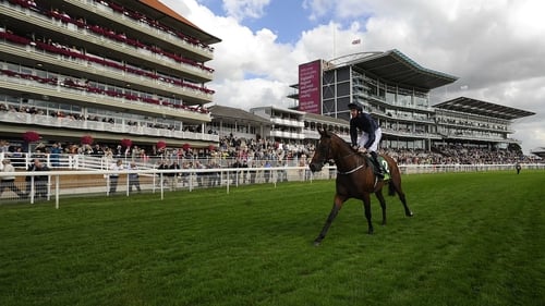 Declaration Of War is back winning again