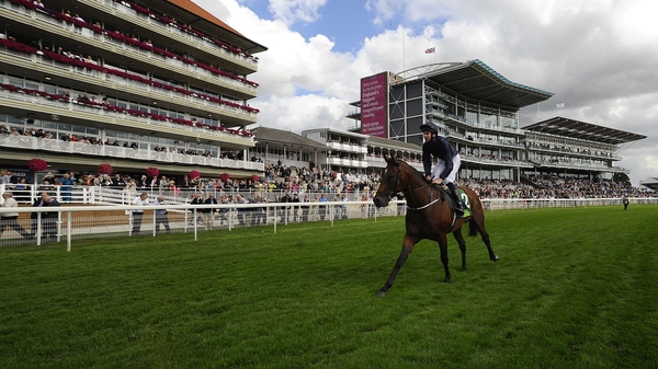 Declaration Of War's odds have been cut to 7-4 favourite for the Red Mills Irish Champion Stakes