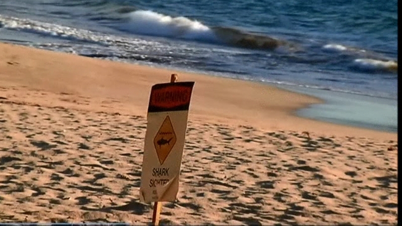 Jana Lutteropp was attacked by a shark while snorkelling near Maui